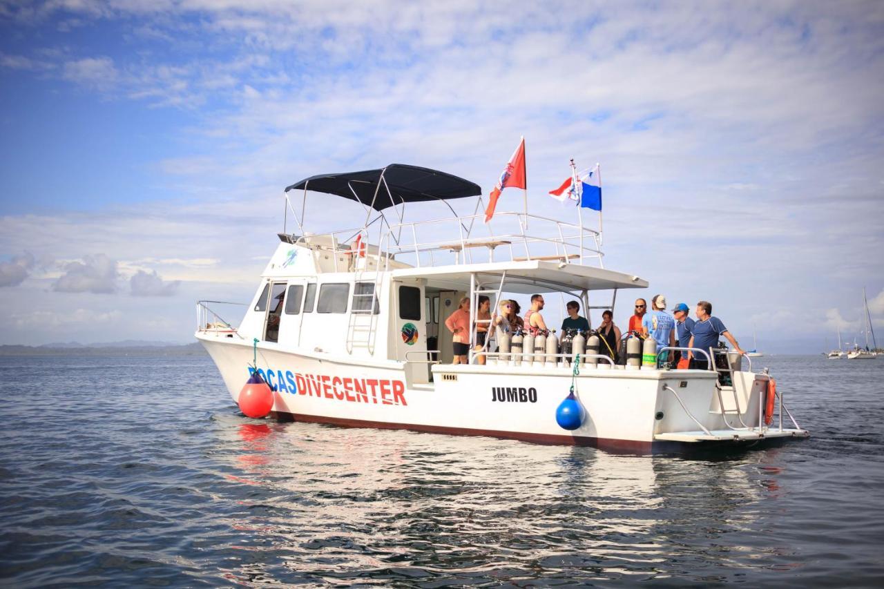 Divers Paradise Boutique Hotel Bocas del Toro Extérieur photo