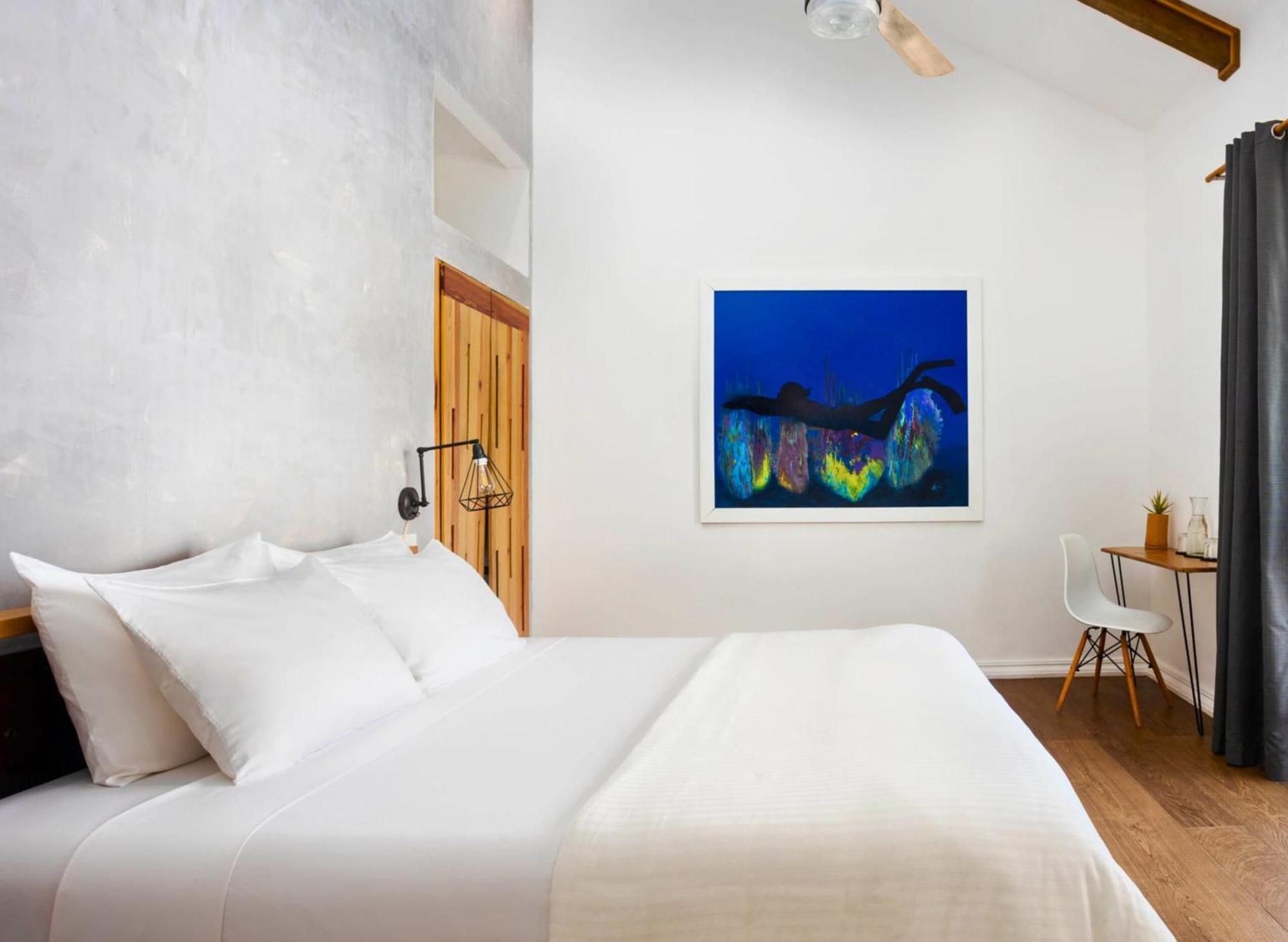 Divers Paradise Boutique Hotel Bocas del Toro Chambre photo